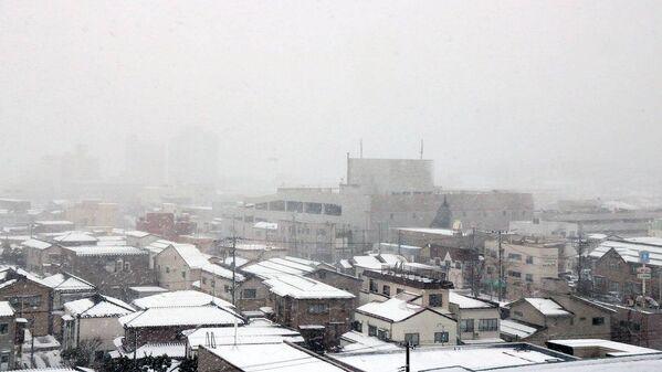 9センチの積雪を観測した新潟県柏崎市 - Sputnik 日本