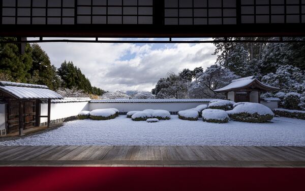 雪が積もった京都府の庭園 - Sputnik 日本