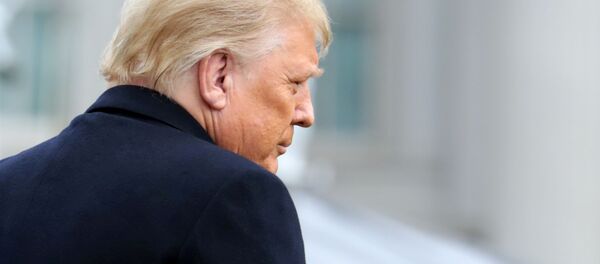 トランプ氏 トランプ氏 - Sputnik 日本