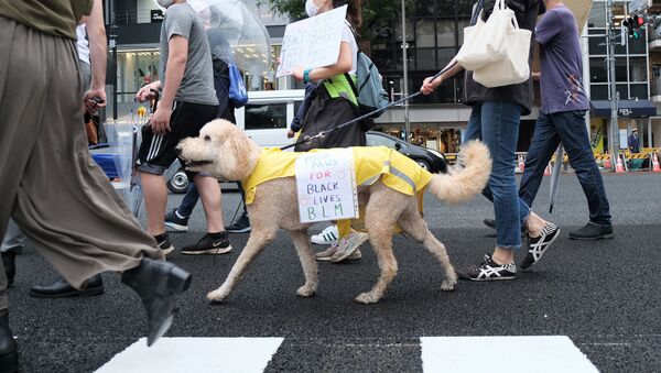 東京で行われた少数派を支持するデモ - Sputnik 日本