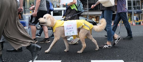 東京で行われた少数派を支持するデモ 東京で行われた少数派を支持するデモ - Sputnik 日本