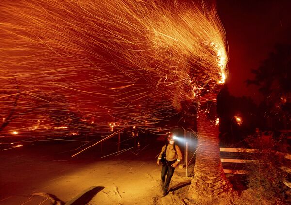 大規模な山火事が発生した米カリフォルニア州南部オレンジ郡で、燃える木の横を歩く消防士（12月3日撮影） - Sputnik 日本