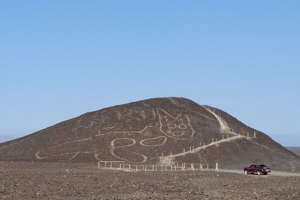 ペルーの世界遺産「ナスカの地上絵」近くの丘で発見された新たなネコの地上絵 - Sputnik 日本