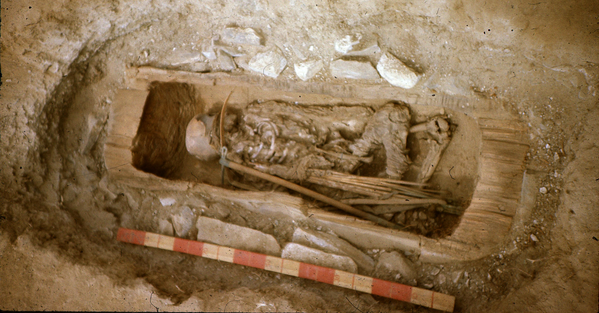 ロシアのトゥヴァ共和国で発掘されたスキタイ人の戦士の骨。1988年に発見されて以来男性のものと考えられてきたが、少女であることが判明した - Sputnik 日本