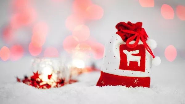 クリスマスプレゼント - Sputnik 日本