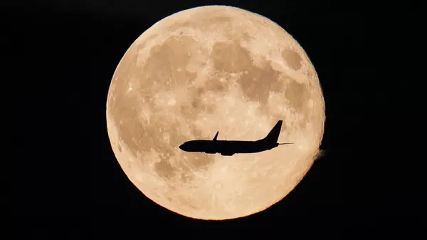 飛行機