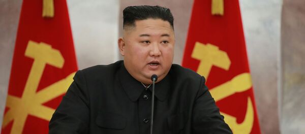 北朝鮮の金正恩委員長 北朝鮮の金正恩委員長 - Sputnik 日本