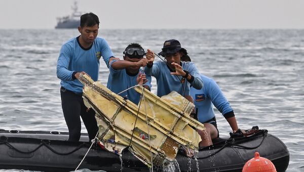 インドネシア　旅客機墜落の暫定的な原因を発表 - Sputnik 日本