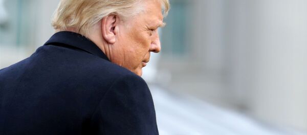 Президент США Дональд Трамп в Вашингтоне  Президент США Дональд Трамп в Вашингтоне  - Sputnik 日本