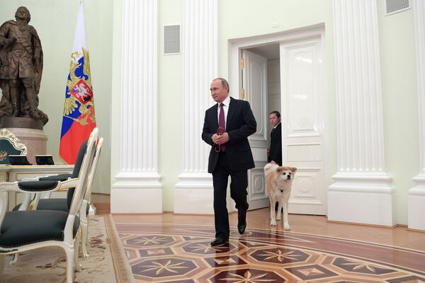 ロシアのウラジーミル・プーチン大統領と愛犬のゆめ - Sputnik 日本