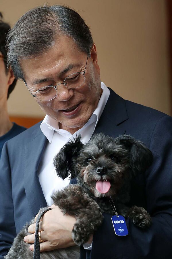 韓国の文在寅大統領と愛犬のトリ - Sputnik 日本