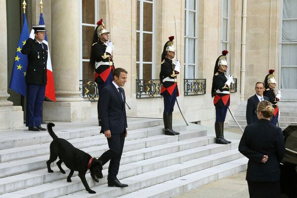 フランスのマニュエル・マクロン大統領と愛犬のネモ - Sputnik 日本