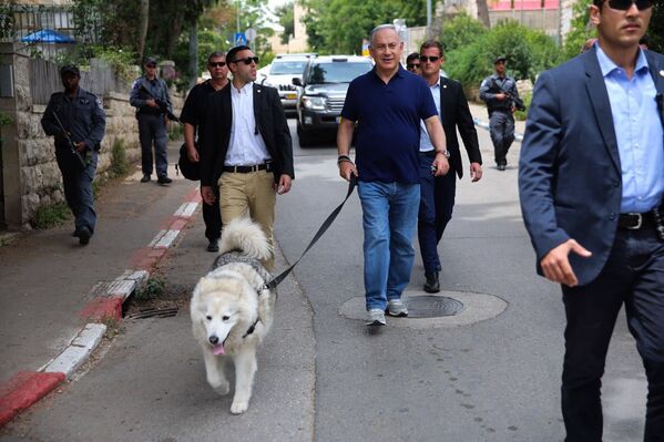 イスラエルのベンヤミン・ネタニヤフ首相と愛犬のカイヤ - Sputnik 日本