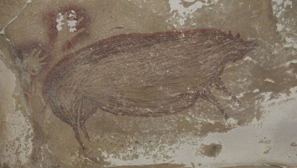 Старейший из известных в мире наскальных рисунков, изображение дикой свиньи в натуральную величину, сделанное не менее 45 500 лет назад, Сулавеси, Индонезия - Sputnik 日本