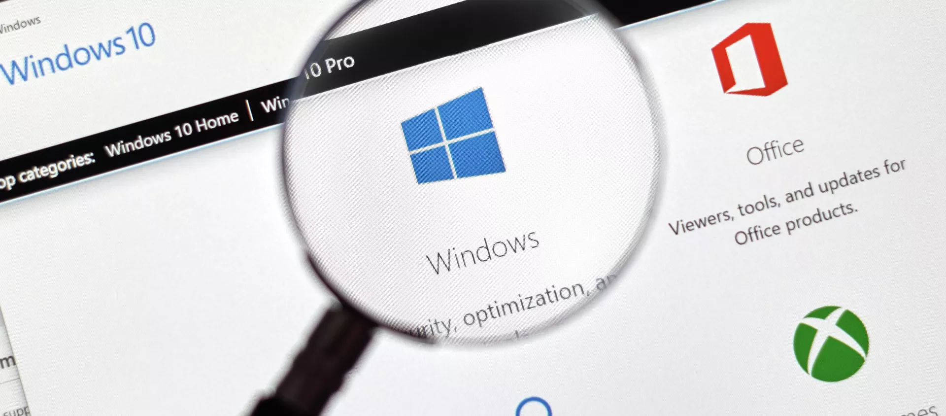 Операционная система компании Microsoft Windows 10 - Sputnik 日本, 1920, 18.05.2021