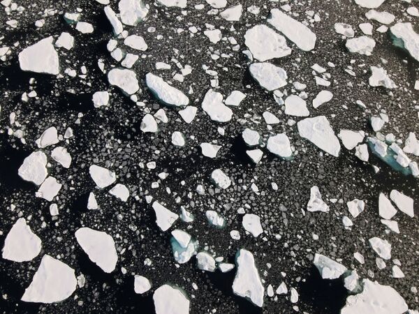 NGO団体グリーンピースの船舶「アークティック・サンライズ」が北極海で撮影した流氷（2020年） - Sputnik 日本