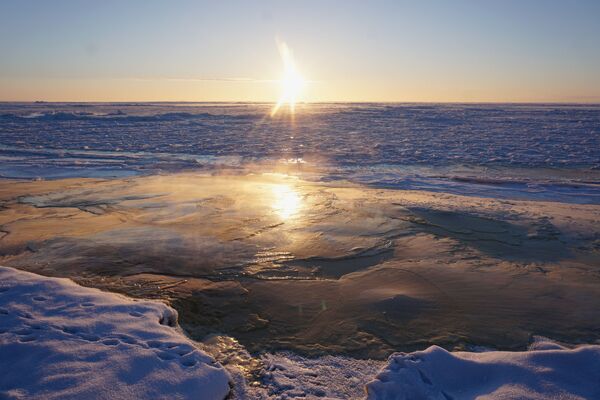米アラスカ州ノーム沖に形成された流氷（2018年） - Sputnik 日本