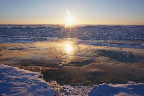 米アラスカ州ノーム沖に形成された流氷(2018年) 米アラスカ州ノーム沖に形成された流氷(2018年) - Sputnik 日本
