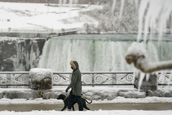 カナダ側のナイアガラの滝（ホースシュー・フォールズ）付近で犬と散歩をする女性 - Sputnik 日本