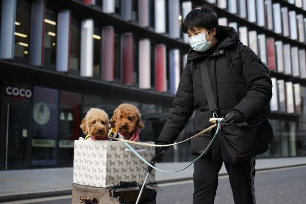 英ロンドンのオールドベイリー（中央刑事裁判所）近くで、犬2匹と散歩をする女性 - Sputnik 日本
