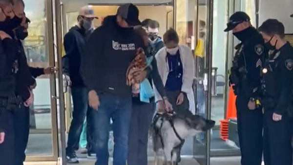 銃弾を受け重傷を負った警察犬が復帰 - Sputnik 日本