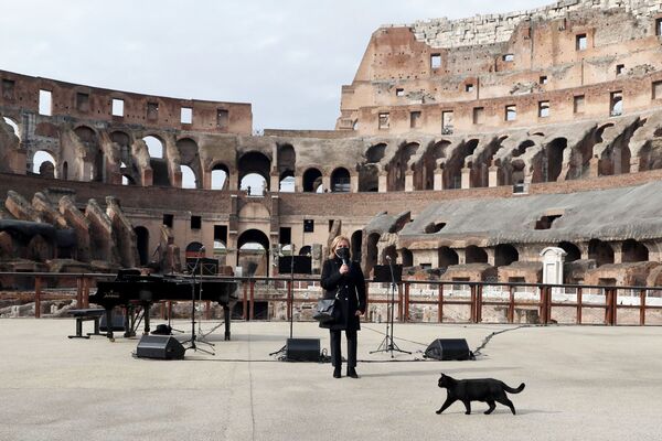 再開したコロッセオで行われたコンサートで、司会者の前を歩く猫 - Sputnik 日本