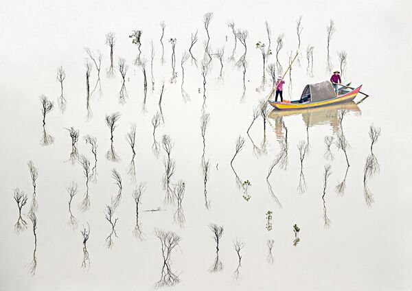 「プロ／ファインアート」部門1位受賞作品『Fishermen of The Mangroves』　Les Sharp氏（オーストラリア - Sputnik 日本