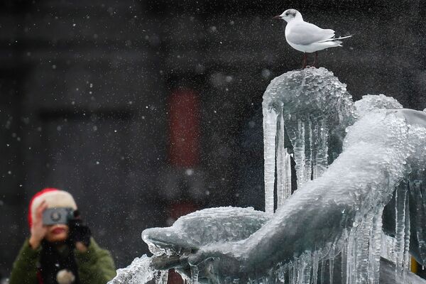 英ロンドンの氷に覆われたトラファルガー広場の銅像にとまる鳥 - Sputnik 日本