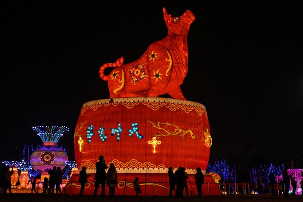 中国・湖北省武漢市の公園に設置された巨大な牛の提灯 - Sputnik 日本