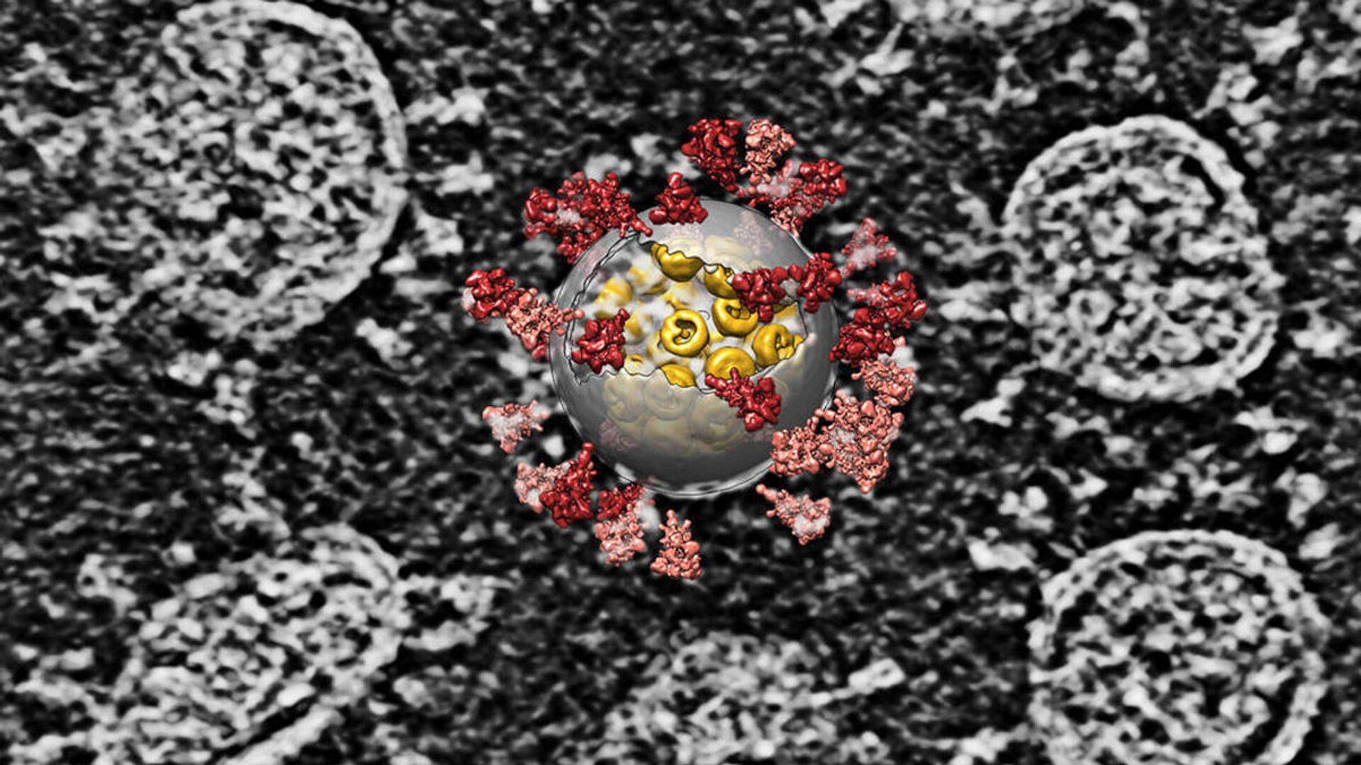 Наложение компьютерной реконструкции на изображение вирусов SARS-CoV-2 - Sputnik 日本, 1920, 05.01.2022