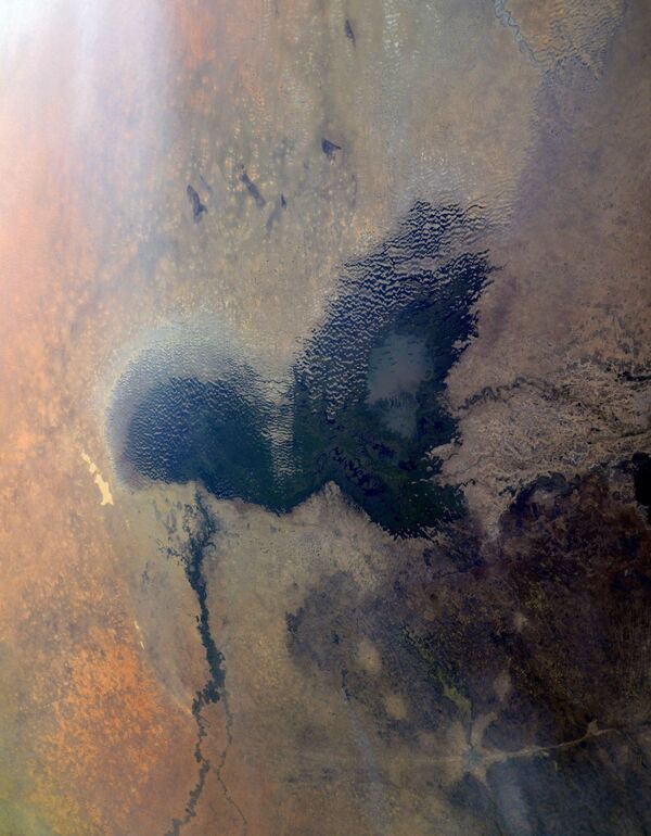 チャド・ニジェール・ナイジェリア・カメルーンにまたがるチャド湖（撮影：セルゲイ・クド・スベルチコフ宇宙飛行士） - Sputnik 日本