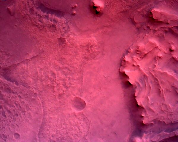 NASAの火星探査機「パーサヴィアランス」が撮影した地表の写真 - Sputnik 日本