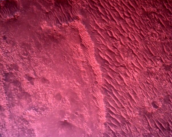 NASAの火星探査機「パーサヴィアランス」が撮影した地表の写真 - Sputnik 日本