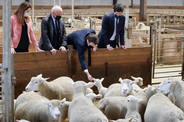 農場を視察訪問したフランスのエマニュエル・マクロン大統領 - Sputnik 日本