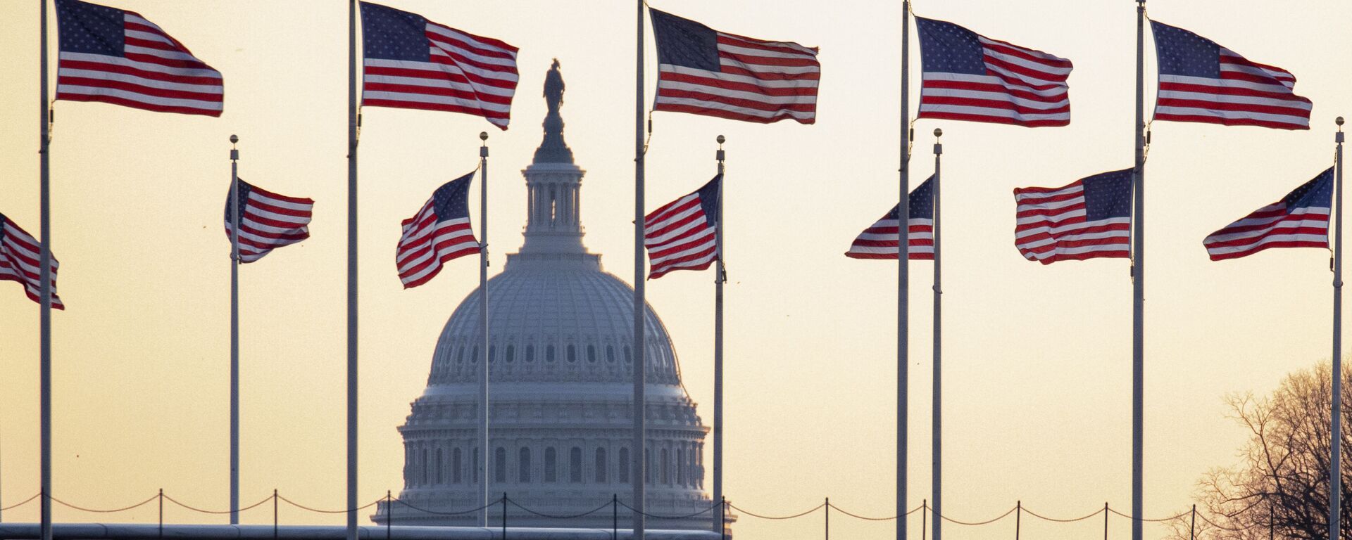 Американские флаги на фоне Капитолия в Вашингтоне, США - Sputnik 日本, 1920, 31.01.2022