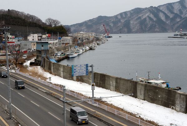岩手県宮古市の津波に襲われた堤防（2013年2月18日撮影） - Sputnik 日本