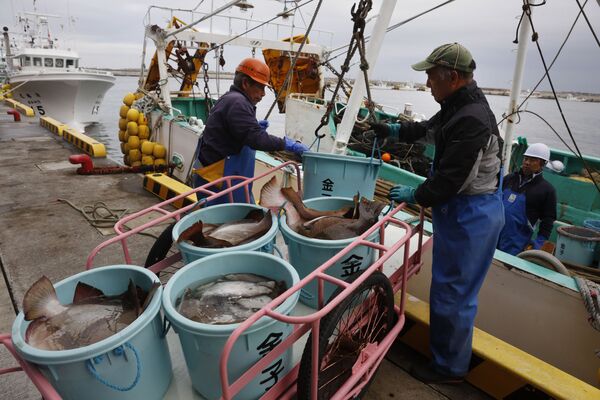 福島県相馬市の港で船から魚を降ろす漁師たち（2019年11月27日撮影 - Sputnik 日本