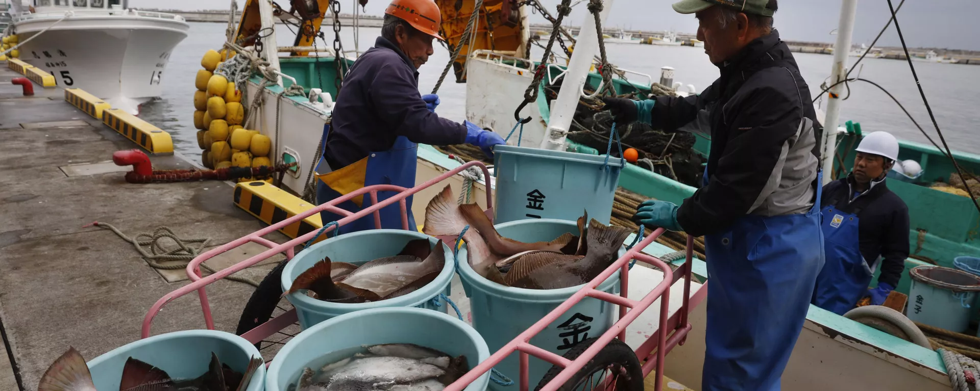 福島県相馬市の加工センターで船から魚の荷降ろしをする漁師 - Sputnik 日本, 1920, 30.03.2021