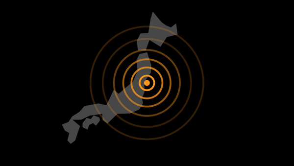 2011年東日本大震災：5つの事実 - Sputnik 日本