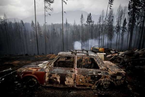 アルゼンチン・チュブト州で発生した森林火災で全焼した車 - Sputnik 日本