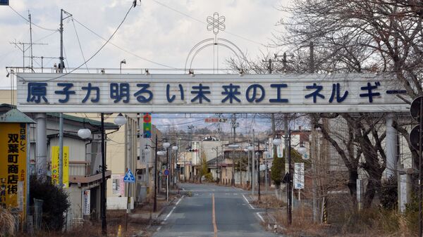 原子力を推進する看板「原子力明るい未来のエネルギー」 - Sputnik 日本