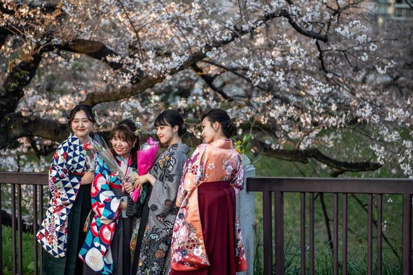 東京都千代田区にある北の丸公園で、桜の木の下で袴を着て記念写真を撮る女性たち - Sputnik 日本