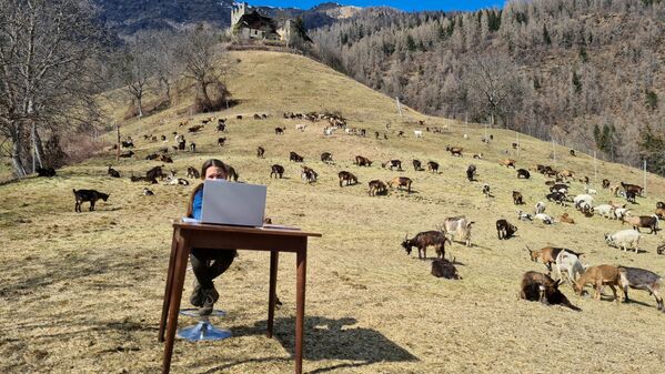 イタリア・トレンティーノ＝アルト・アディジェ州で、ヤギの群れに囲まれてオンライン授業を受ける少女 - Sputnik 日本
