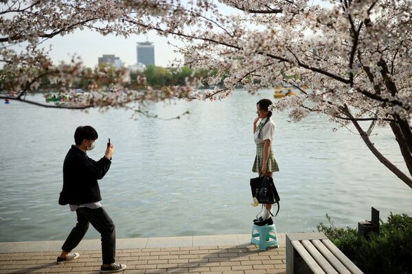 中国・北京の玉淵潭公園で、桜の木の近くで写真撮影する男女 - Sputnik 日本