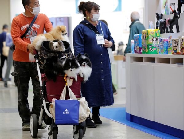 犬用ベビーカーに愛犬を乗せて訪れた来場者 - Sputnik 日本