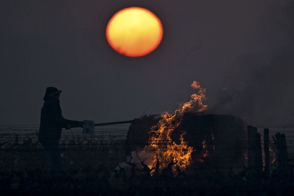 フランス・トゥーレーヌ地方にあるヴーヴレのブドウ畑で、藁の俵を燃やすワイン農家 - Sputnik 日本