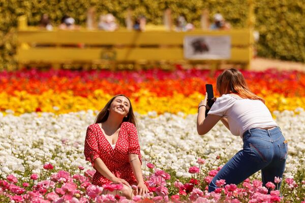米カリフォルニア州カールスバッドで、花畑の前で写真を撮る観光客 - Sputnik 日本