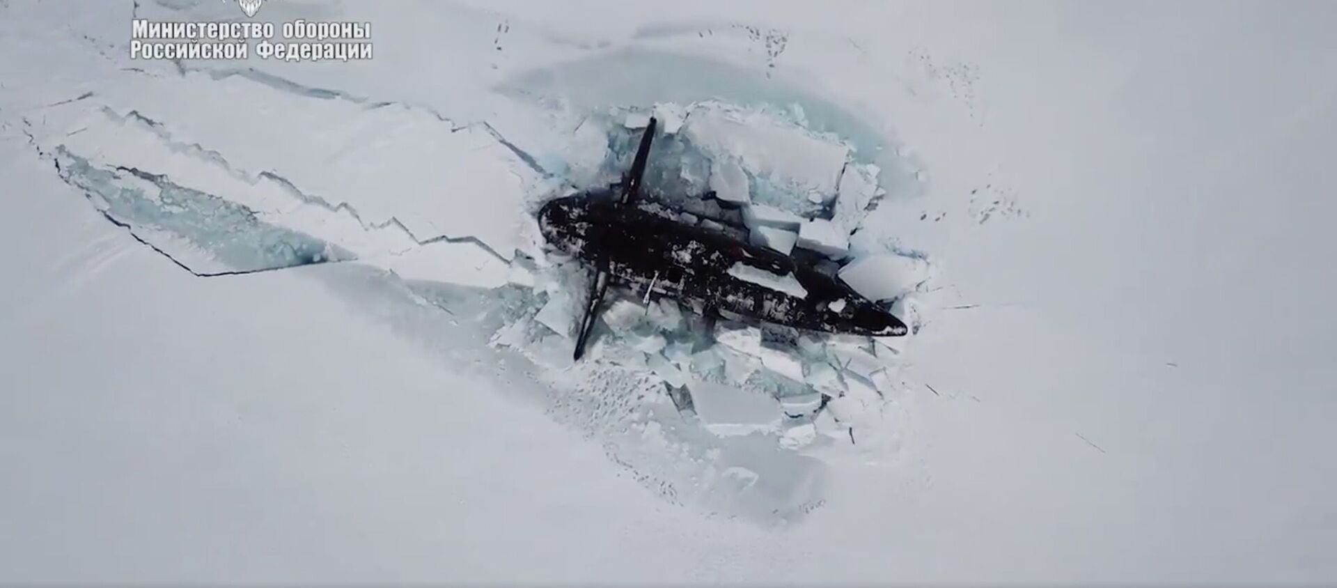 ロシア潜水艦の北極での演習を白熊が邪魔する - Sputnik 日本, 1920, 15.04.2021