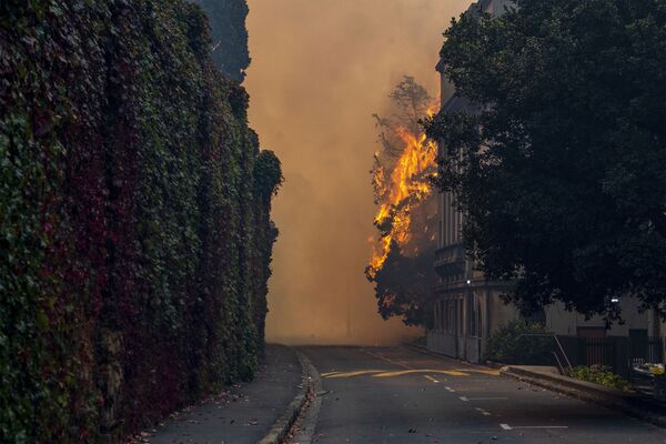 「テーブルマウンテン国立公園」で発生した森林火災の火が燃え広がったケープタウン大学のキャンパス - Sputnik 日本