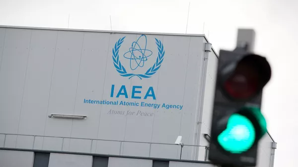 IAEA - Sputnik 日本